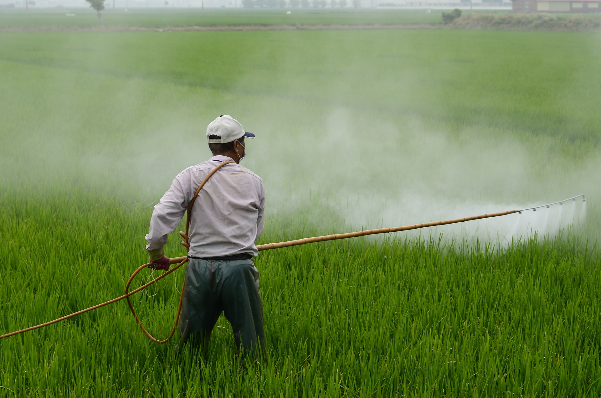 herbicide 587589 1920