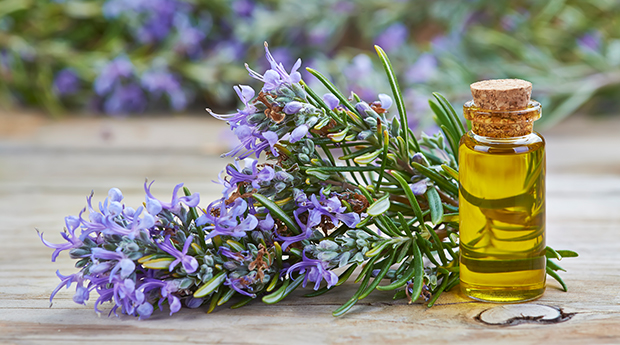 Rosemary Essential Oil