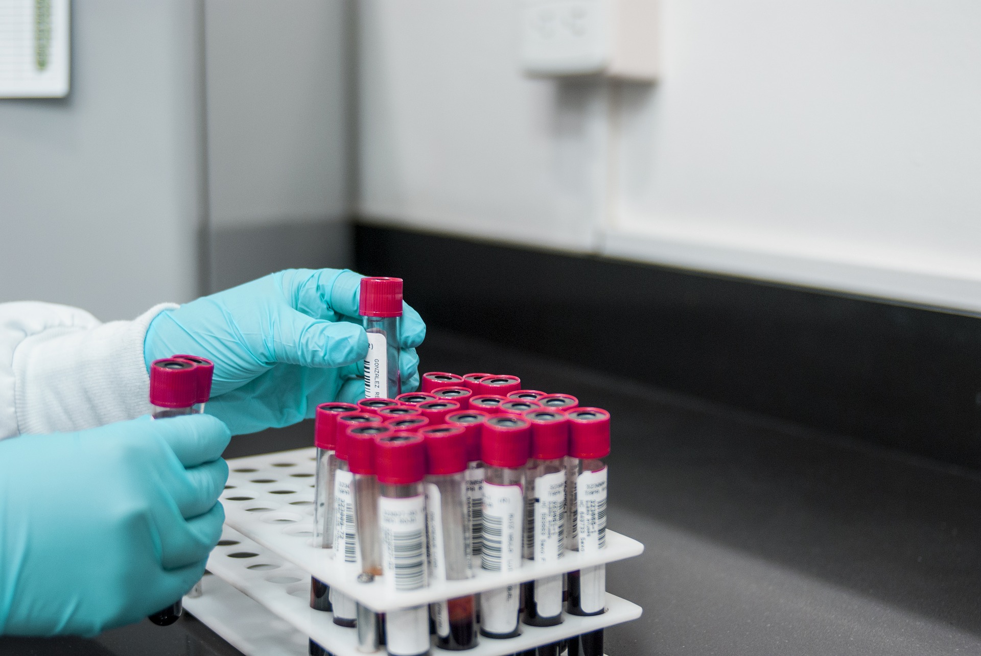 Laboratory